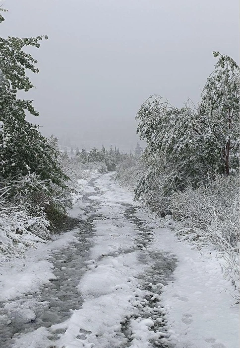 В Ергаки пришла зима | Источник: Ride to be free (Ergaki &amp; Aradan freeride community) / Telegram