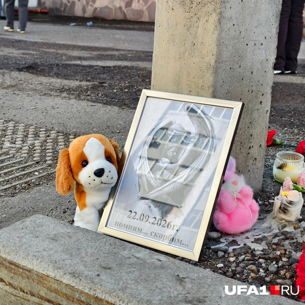 Источник: Булат Салихов / UFA1.RU