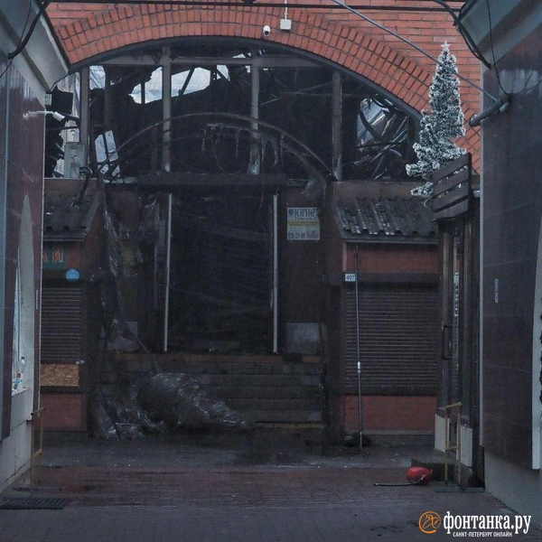 Источник: Михаил Огнев / FONTANKA.RU