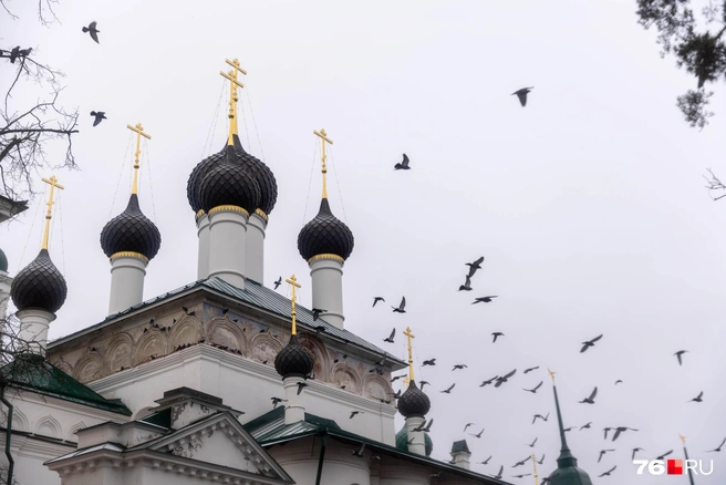 Даже птицы летят по своим делам | Источник: Артем Бауман / 76.RU