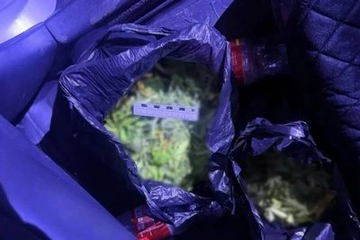 В Кызылском районе выявлены факты незаконного оборота наркотиков