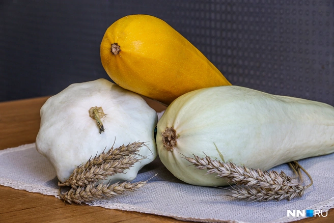 Как приготовить рулет из кабачка: рецепт алтайского шеф-повара | Источник: Наталья Бурухина / NN.RU