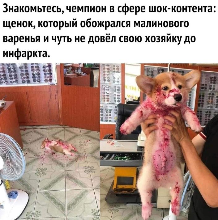 И немного варенья :-) Здравствуйте, уважаемые, Приятного, времени, суток