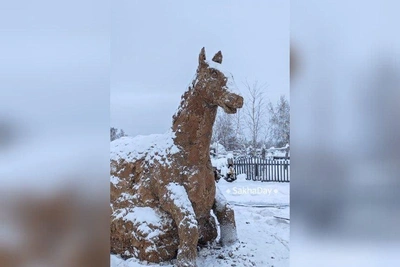 Якутянин создал символ 2026 года из коровьего навоза