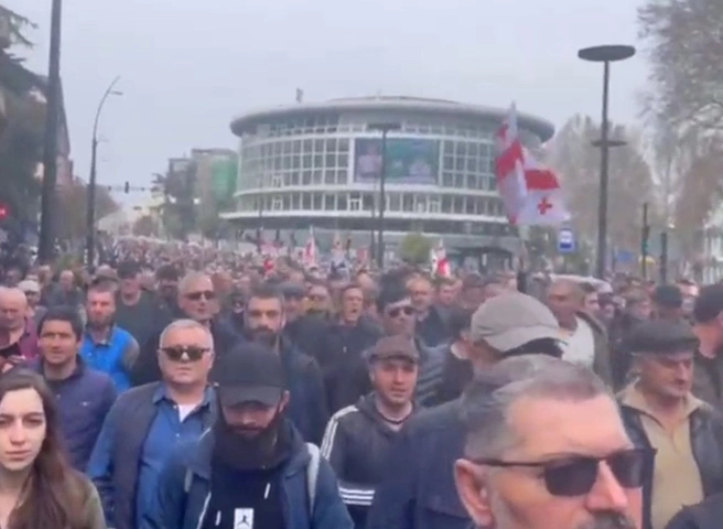 В Грузии протесты против иностранного влияния переросли в стычки с полицией | ya62.ru