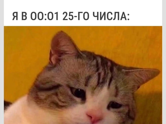 Где? | Источник: Городские медиа