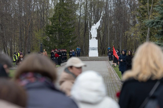 Источник: pskov.ru