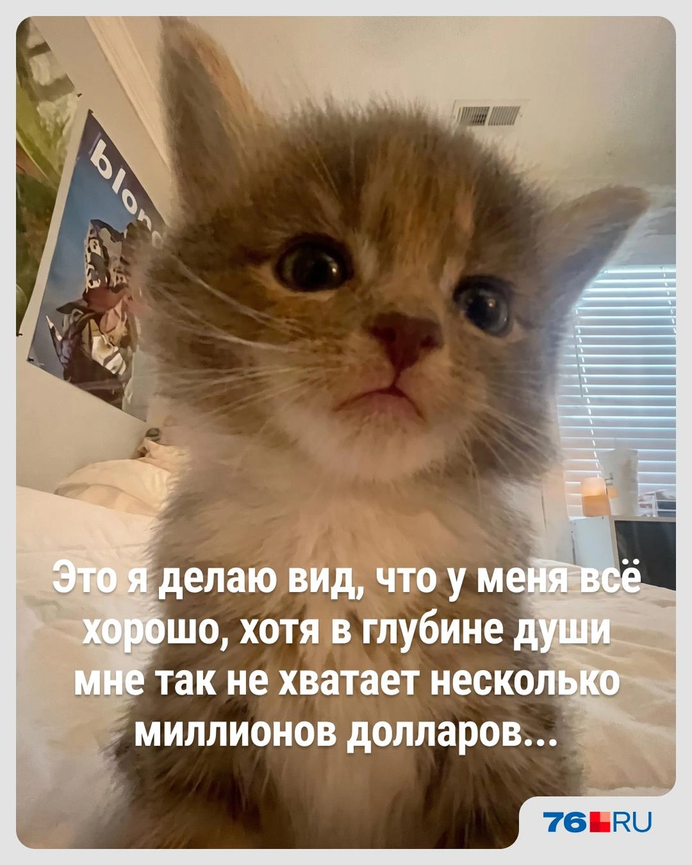 Признавайтесь, кто? | Источник: Городские медиа