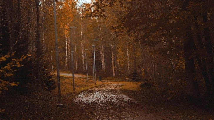 Источник: Unsplash