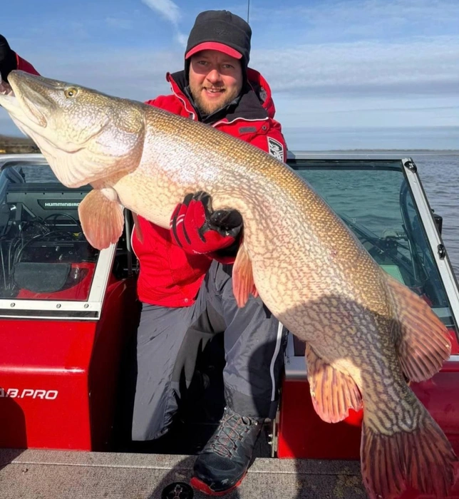 Михаил поймал трофейную щуку в Томской области | Источник: предоставлено Павлом Паниным