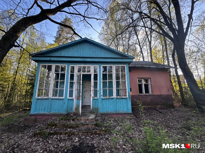 Источник: Алина Мельникова / MSK1.RU