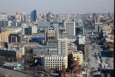 Новые растения в Новосибирске: замена деревьев на Красном проспекте