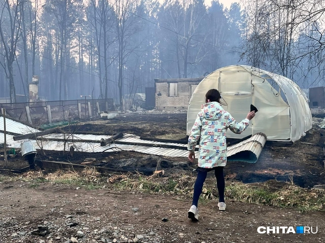 Старшая сестра начала бросать камни в участок | Источник: Александр Хамраев / CHITA.RU