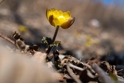 Прогноз погоды в Барнауле на 11 апреля