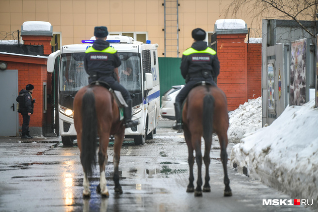 Конная Полиция Фото Девушки