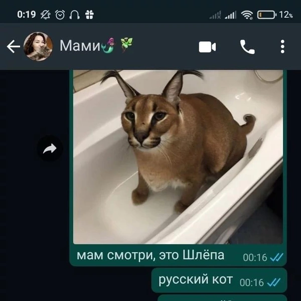 Источник: Соцсети