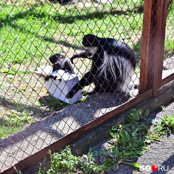 Источник: Василина Любимова / 59.RU 