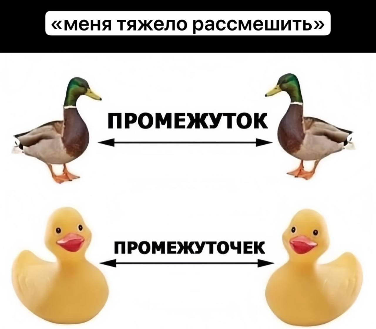 Хулиганские дела Здравствуйте, уважаемые, Приятного, времени, суток