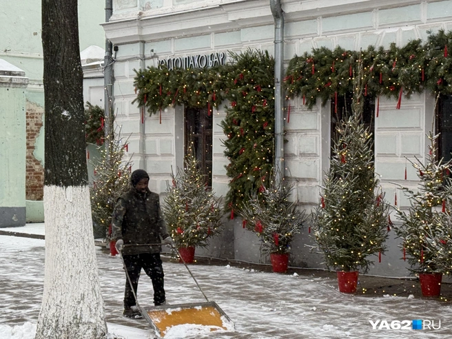Заведения пока убирают выпавший снег собственными силами | Источник: Сергей Петунин / YA62.RU