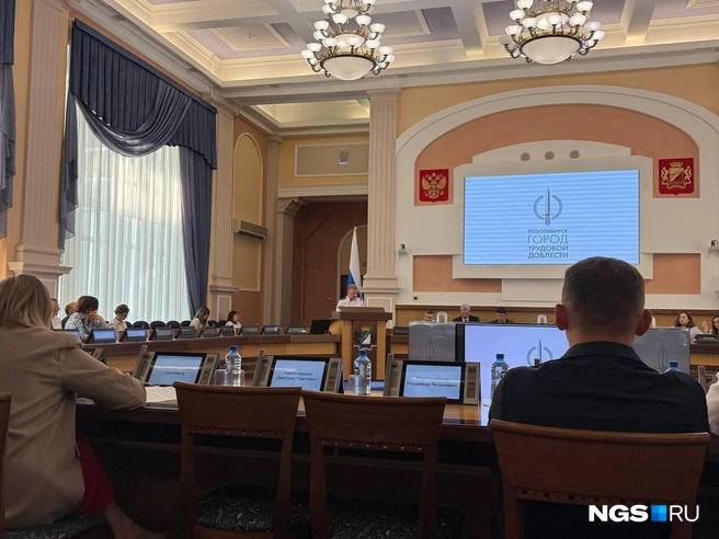 Прокуратура пошла на уступки строительной отрасли, снизив свои требования до 2,5 гектара. Застройщики же уверяют, что требование в любом случае нанесет вред отрасли | Источник: Елизавета Горячева / NGS.RU