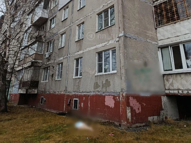 ЧП произошло в дневное время 7 декабря. | Источник: читатель NN.RU