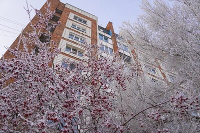 Третье дело по проблемному дому в Горноправдинске