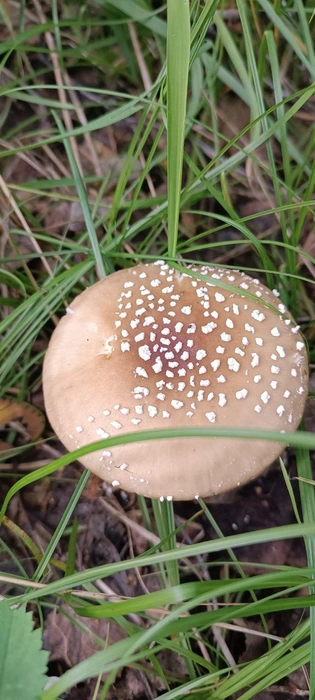 Этот тоже под сомнением | Источник: читатель NGS24.RU 