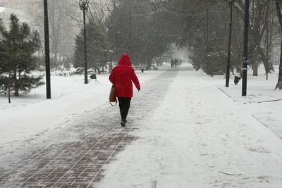 Snowstorm Hits Don Region on February 2 Amid Key Events