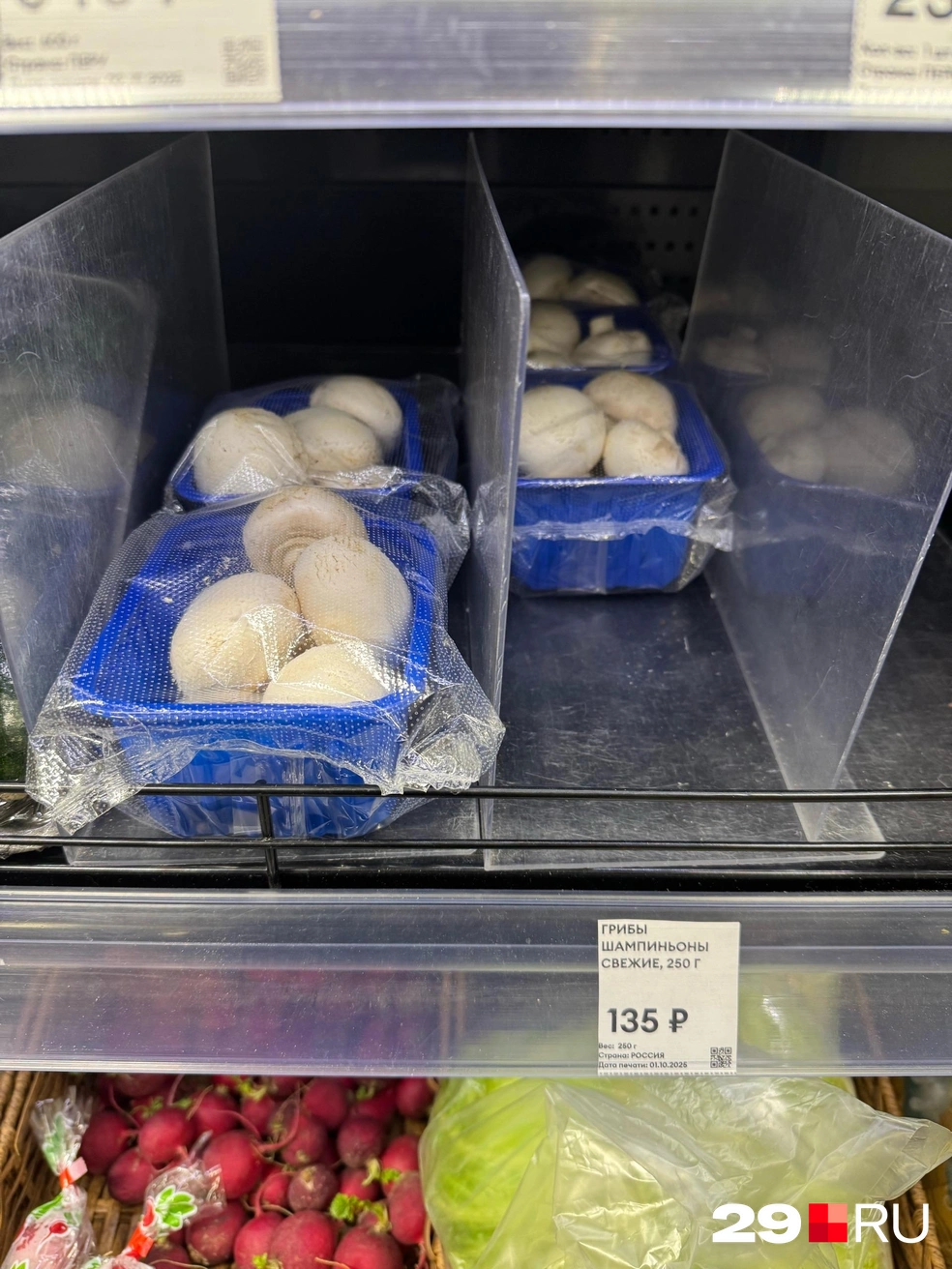 Источник: Валерия Богатырёва / 29.RU