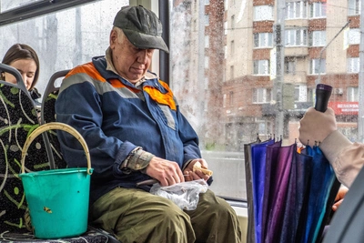 После дождей в Зауралье начался грибной сезон