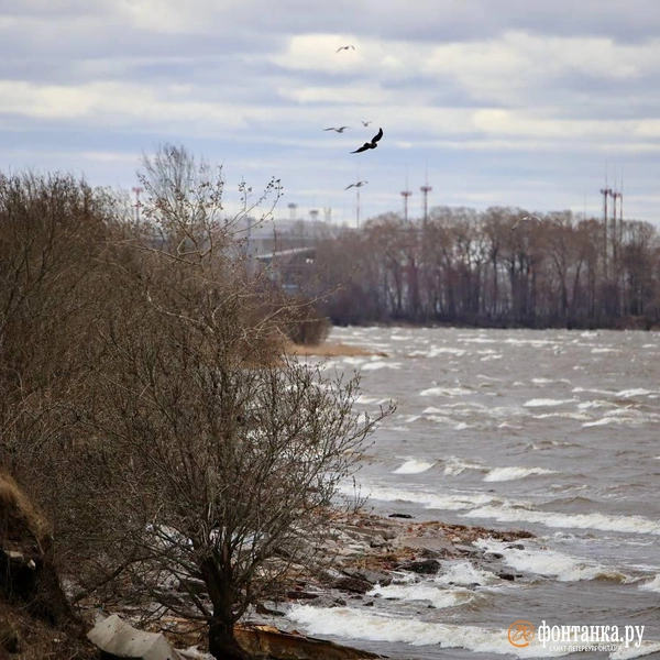 Источник: Валентин Егоршин / «Фонтанка.ру»
