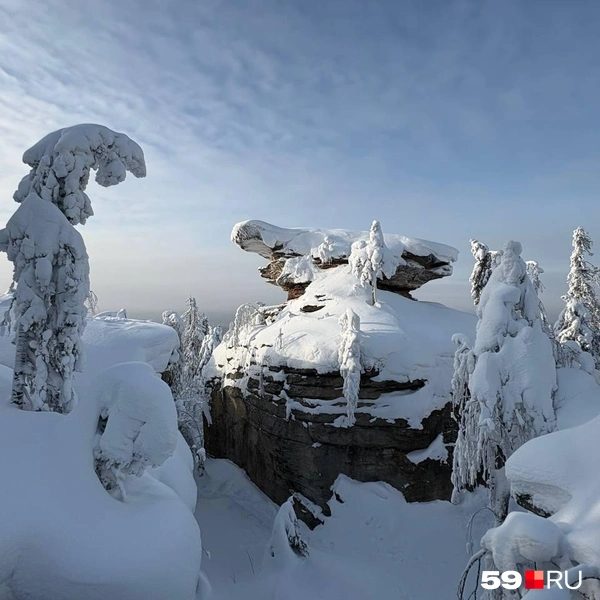 Узнаете? Это камень «Черепаха» | Источник: читатель 59.RU