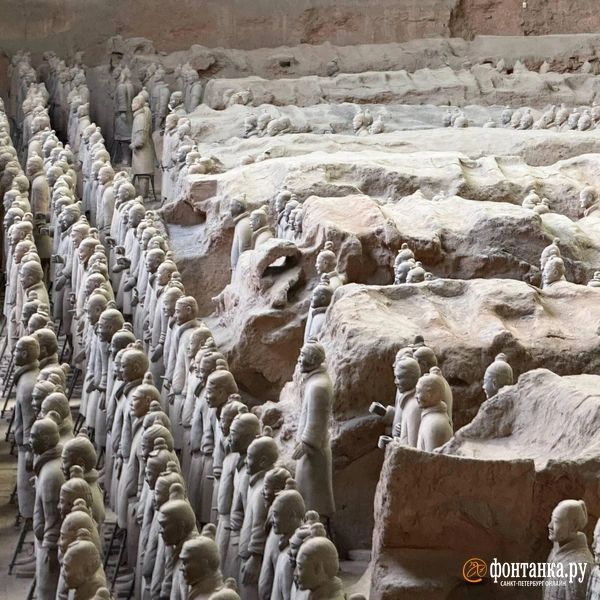 Источник: Милена Солдатенко / «Фонтанка.ру»