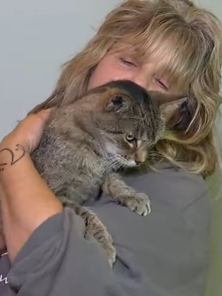 Кот сбежал из дома и вернулся к хозяйке 11 лет спустя
