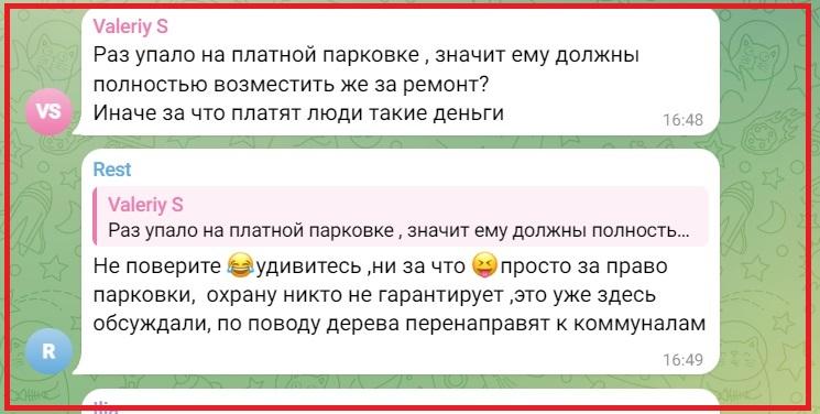 За что деньги берут? В Сочи упавшее дерево придавило машины на платном «парковочном пространстве»