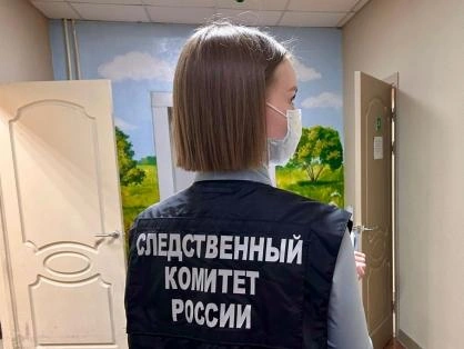 Источник: vologda.sledcom.ru
