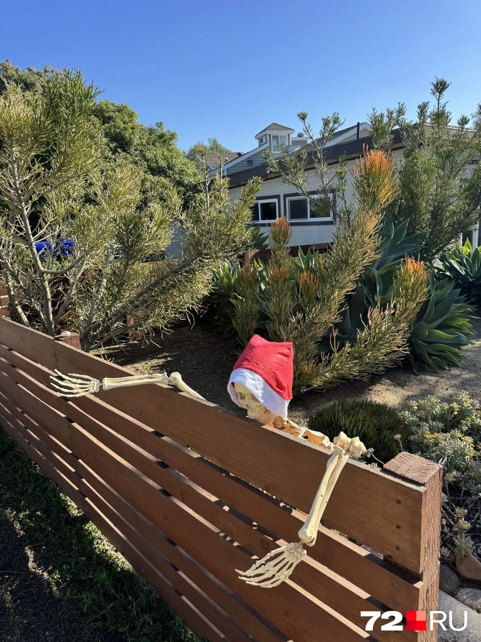 Источник: читатель 72.RU