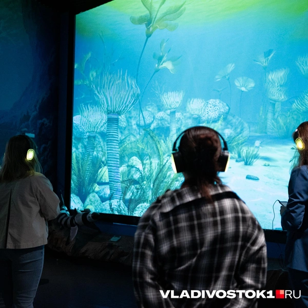 Источник: Елена Буйвол / VLADIVOSTOK1.RU