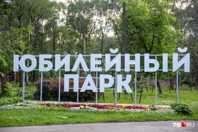В Юбилейном парке проводят работы по благоустройству | Источник: Кирилл Поверинов / 76.RU