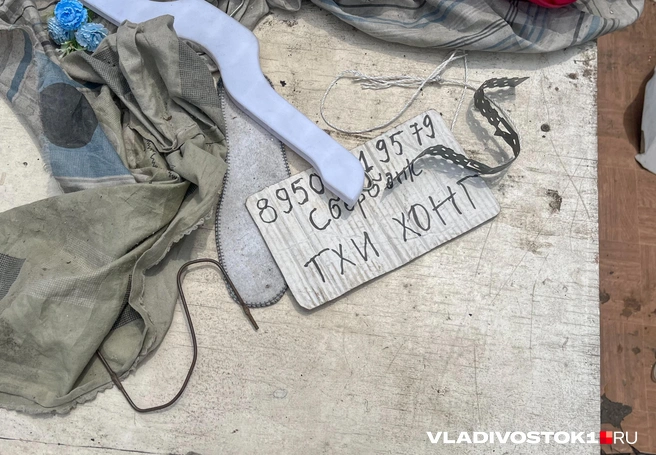 Источник: Елена Буйвол / VLADIVOSTOK1.RU