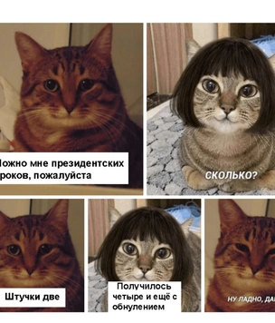 Лучшие шутки про обнуление президентских сроков