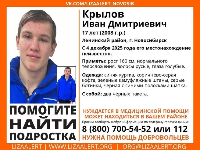 Источник: «Поисковый отряд ЛизаАлерт Новосибирской области» / vk.com
