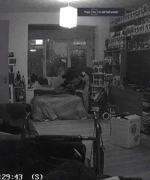 Женщина поделилась видео с оптической иллюзией: ее покойный кот «материализуется» на диване