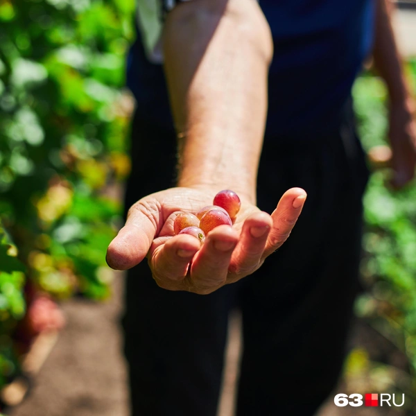 Источник: Роман Данилкин / 63.RU