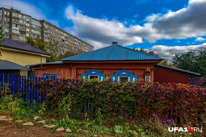 Живая изгородь, как в сказке | Источник: Булат Салихов / UFA1.RU