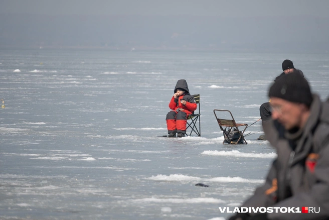 Источник: Елена Буйвол / VLADIVOSTOK1.RU