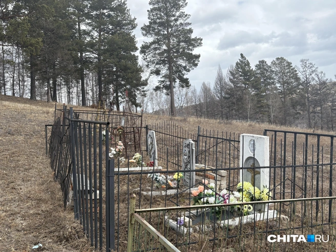 Источник: Егор Захаров / CHITA.RU