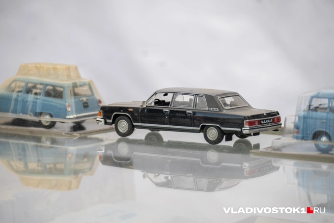 Источник: Елена Буйвол / VLADIVOSTOK1.RU