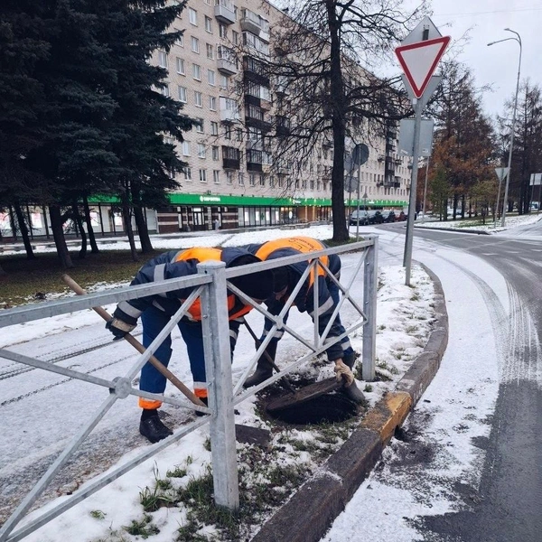 Источник: Комитет по благоустройству Петербурга