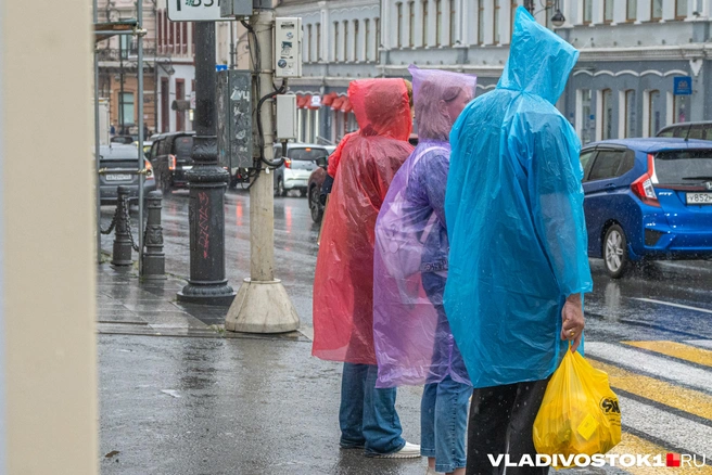 Шторм накроет Приморье 1 и 2 сентября | Источник: Елена Буйвол / VLADIVOSTOK1.RU
